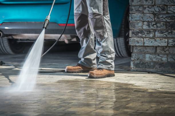 Best Residential House Exterior Washing  in Maxwell, CA
