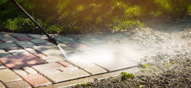 Best Solar Panel Cleaning  in Maxwell, CA